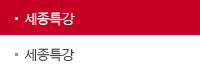 세종특강