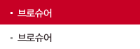 브로슈어