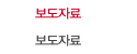 보도자료