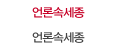 언론속세종