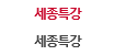 세종특강