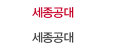 세종공대